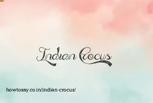 Indian Crocus