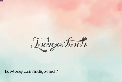 Indigo Finch