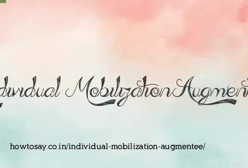 Individual Mobilization Augmentee