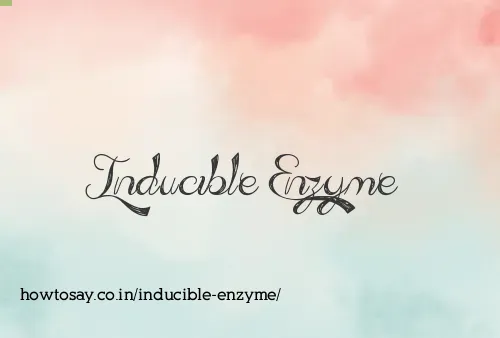 Inducible Enzyme