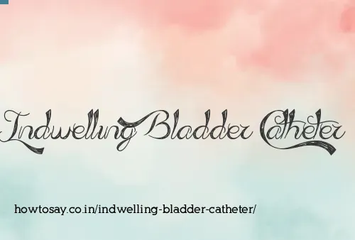 Indwelling Bladder Catheter