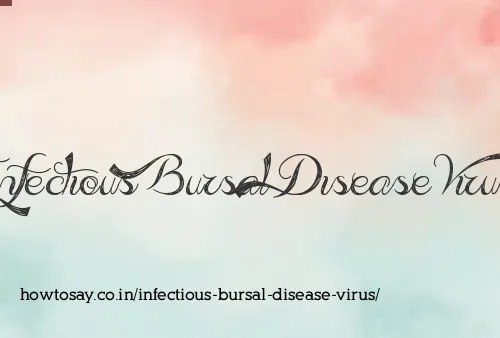 Infectious Bursal Disease Virus