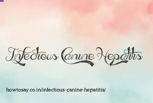 Infectious Canine Hepatitis