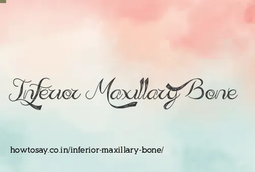 Inferior Maxillary Bone