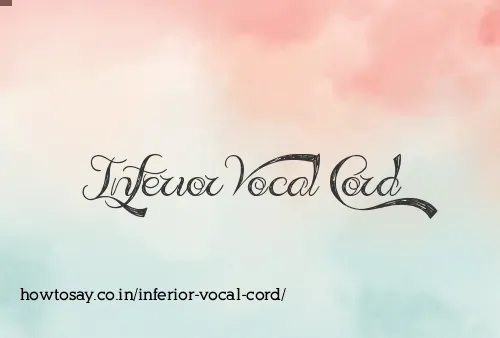 Inferior Vocal Cord