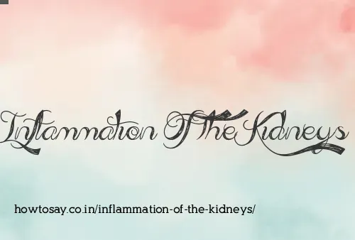 Inflammation Of The Kidneys