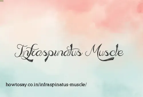 Infraspinatus Muscle