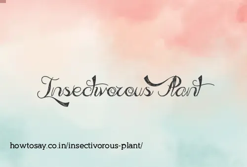 Insectivorous Plant