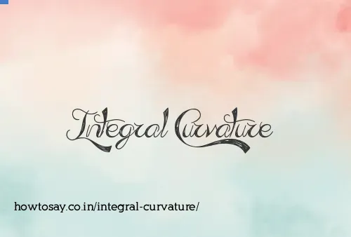 Integral Curvature