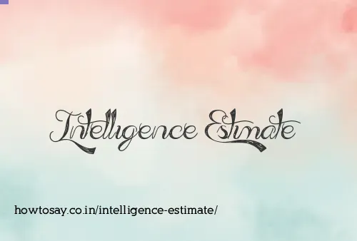 Intelligence Estimate