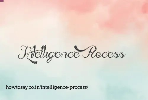 Intelligence Process
