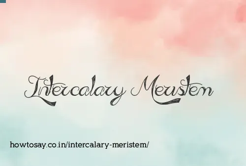 Intercalary Meristem