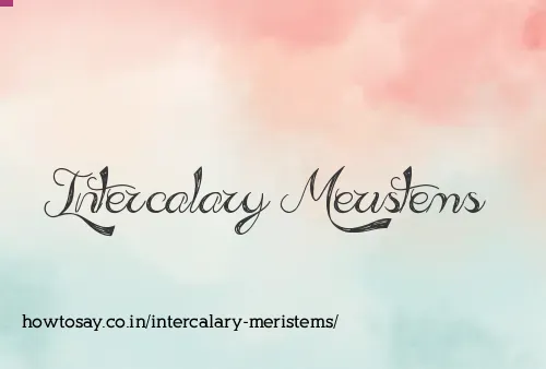 Intercalary Meristems