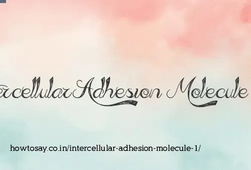 Intercellular Adhesion Molecule 1
