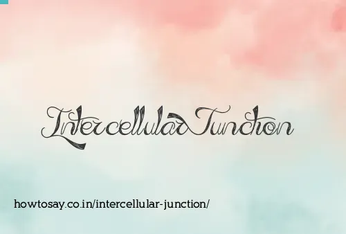 Intercellular Junction
