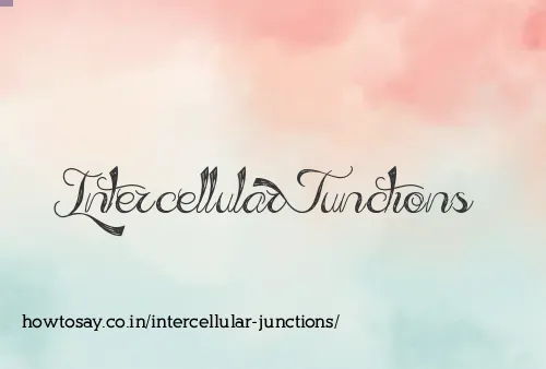 Intercellular Junctions