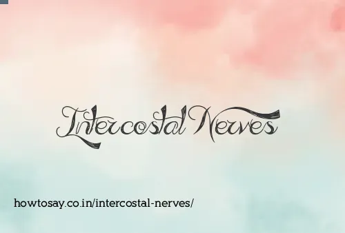 Intercostal Nerves