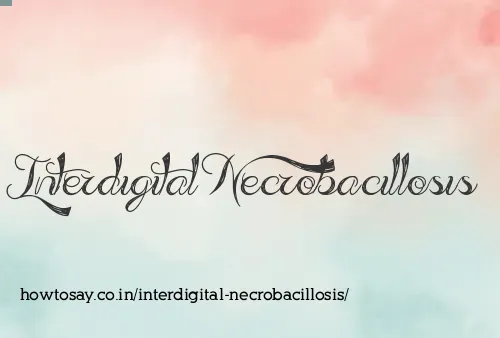 Interdigital Necrobacillosis