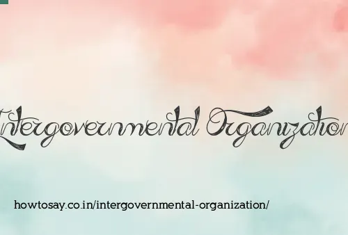 Intergovernmental Organization