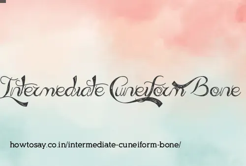 Intermediate Cuneiform Bone