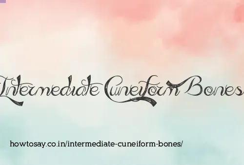 Intermediate Cuneiform Bones