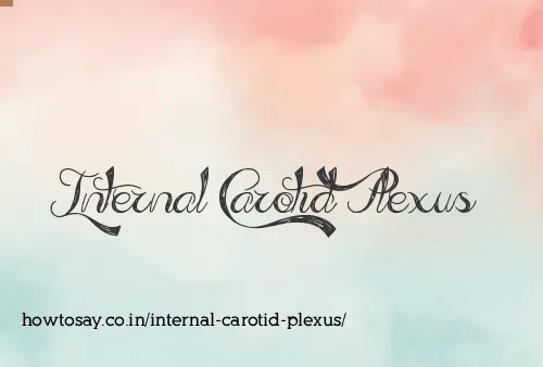 Internal Carotid Plexus