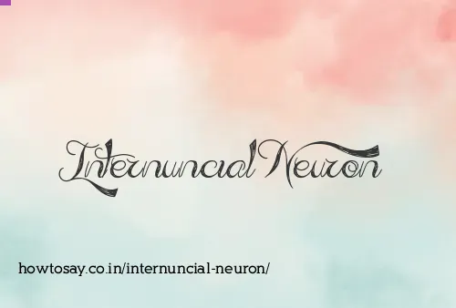 Internuncial Neuron