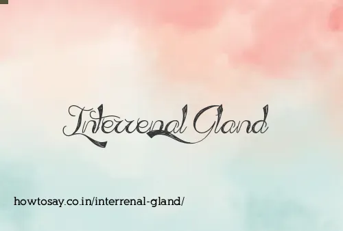 Interrenal Gland