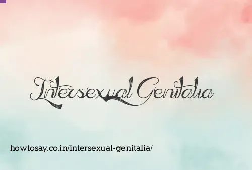 Intersexual Genitalia