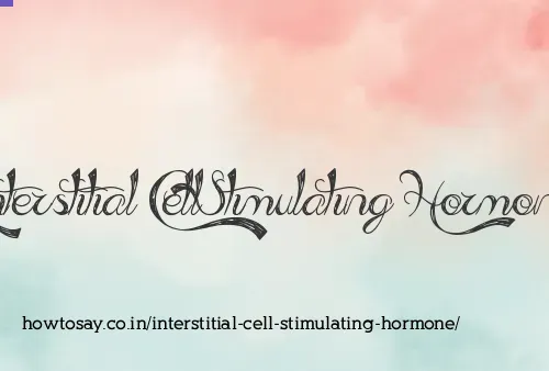 Interstitial Cell Stimulating Hormone