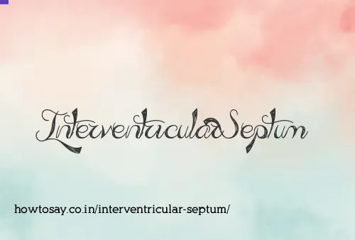 Interventricular Septum
