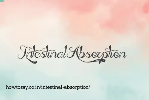 Intestinal Absorption