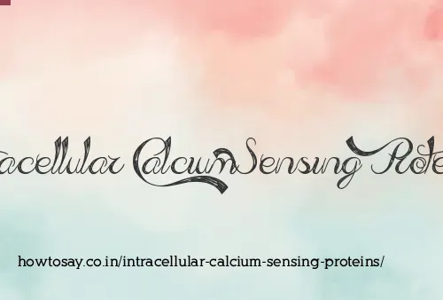 Intracellular Calcium Sensing Proteins