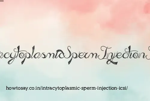 Intracytoplasmic Sperm Injection Icsi