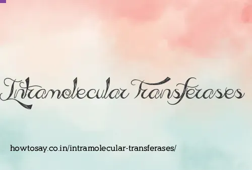 Intramolecular Transferases