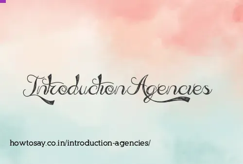 Introduction Agencies