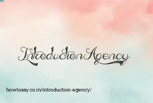 Introduction Agency