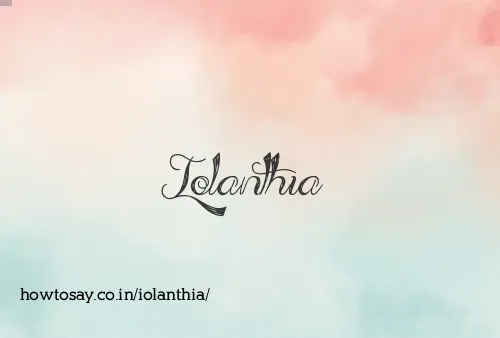 Iolanthia