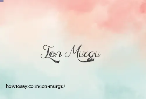 Ion Murgu