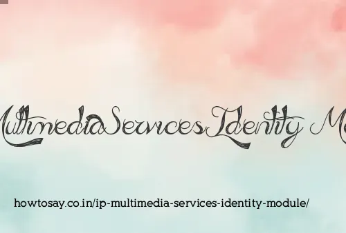 Ip Multimedia Services Identity Module