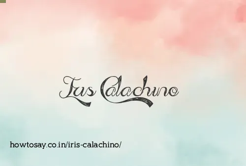 Iris Calachino