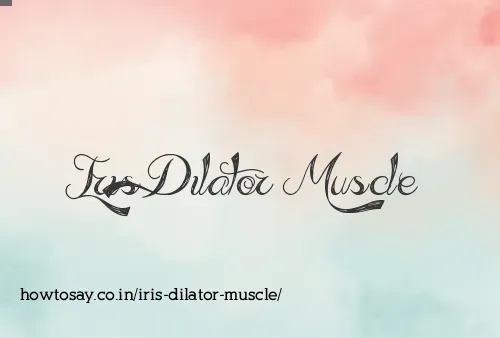 Iris Dilator Muscle