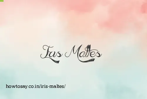 Iris Maltes
