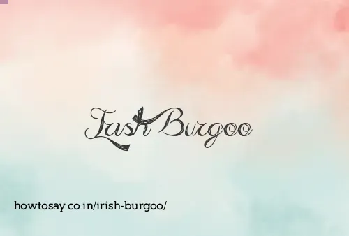 Irish Burgoo