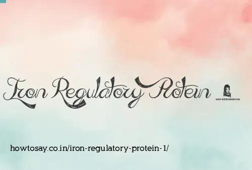 Iron Regulatory Protein 1