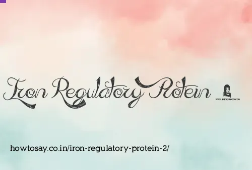 Iron Regulatory Protein 2