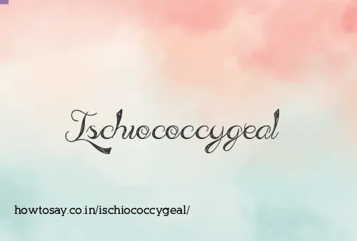 Ischiococcygeal