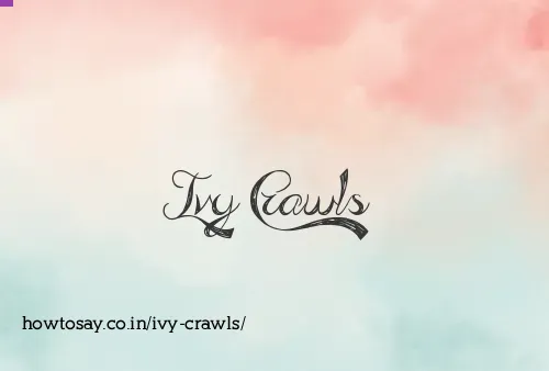 Ivy Crawls