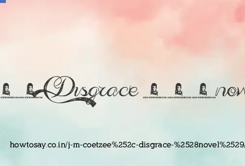 J M Coetzee, Disgrace (novel)