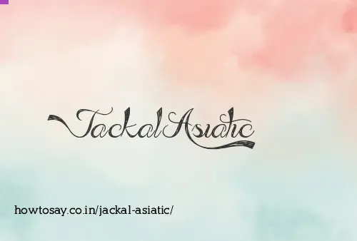 Jackal Asiatic